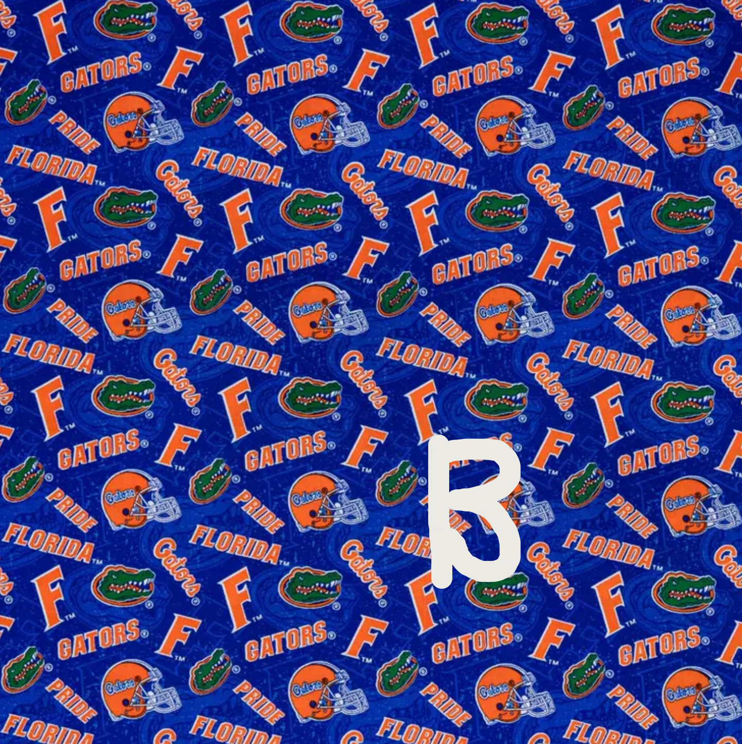 Florida Gators Sweatshirt